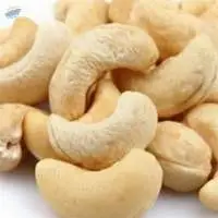 Top Quality Cashew Nut