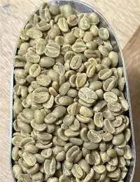 Arabica Green Beans