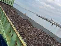 Aluminium Scrap