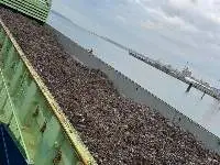 Aluminium Scrap