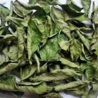 Dehydrated Curry Leaves