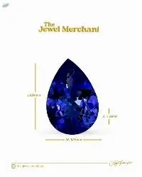 Tanzanite Gemstone