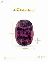 Lotus Garnet
