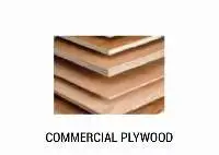 Commercial Plywood