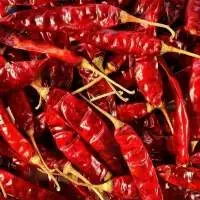 Red Chilli