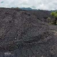Coal