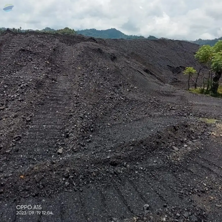 Coal