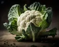 Cauliflower