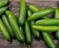 Cucumber