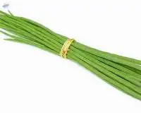 Drumsticks ( Moringa )