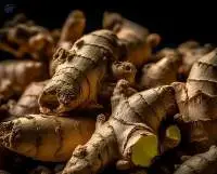 Ginger