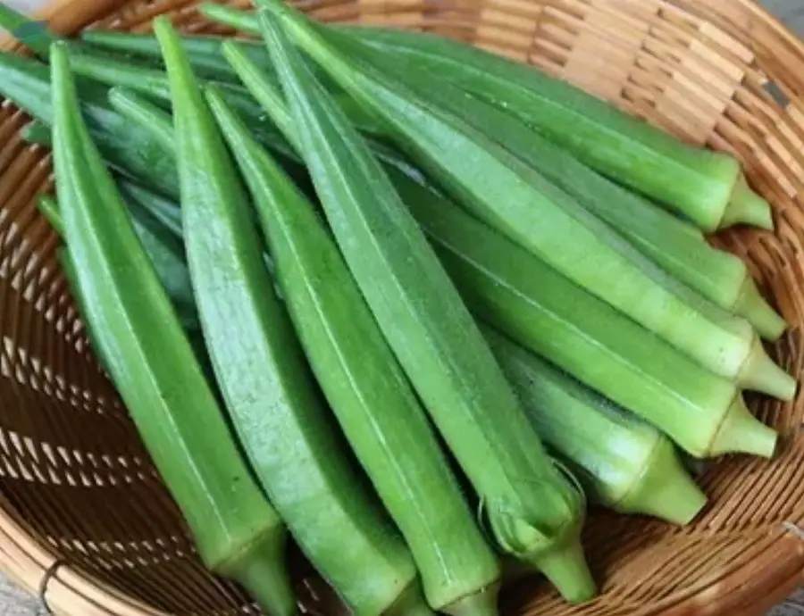Okra ( Lady Finger )
