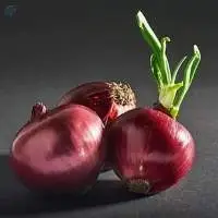 Red Onion