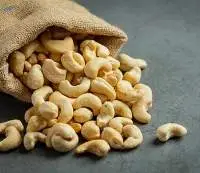 Cashew Nuts