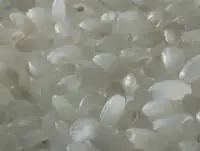 Non Basmati Rice