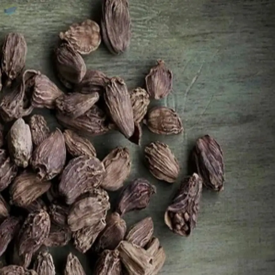 Black Cardamom