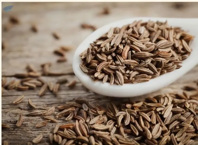 Cumin Seeds