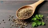 Coriander Seeds