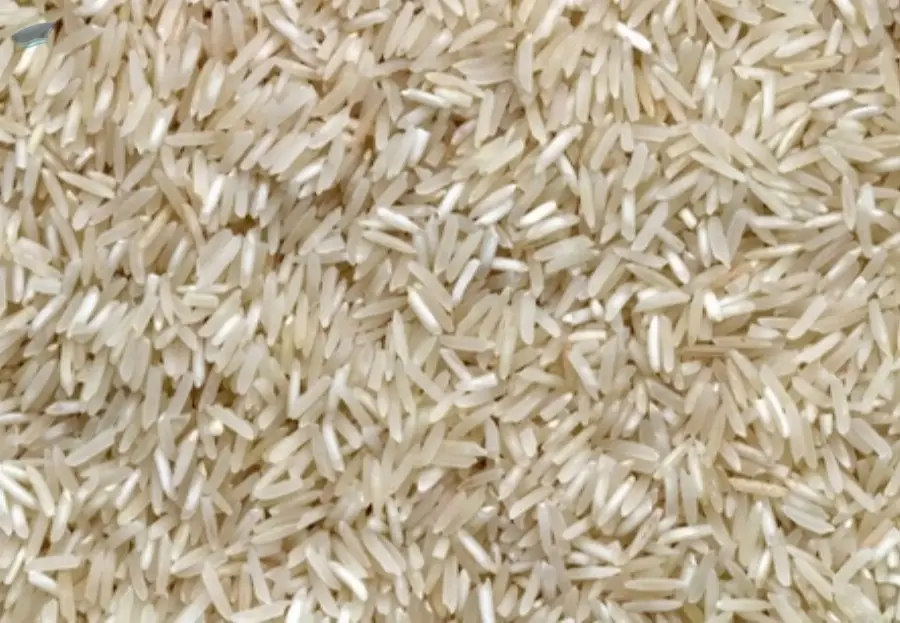 Sona masoori rice Non basmati rice