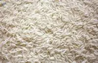 IR 64 parboiled rice
