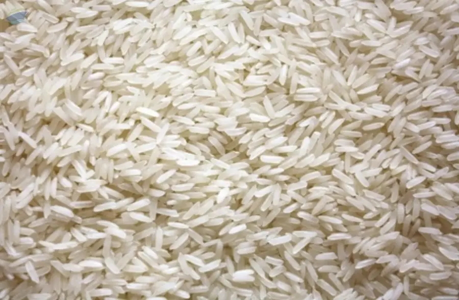 IR 64 parboiled rice