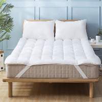 Mattress Protector Pad