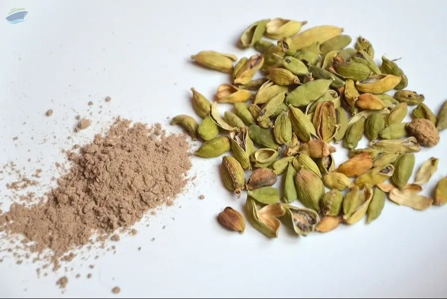 Green Cardamom