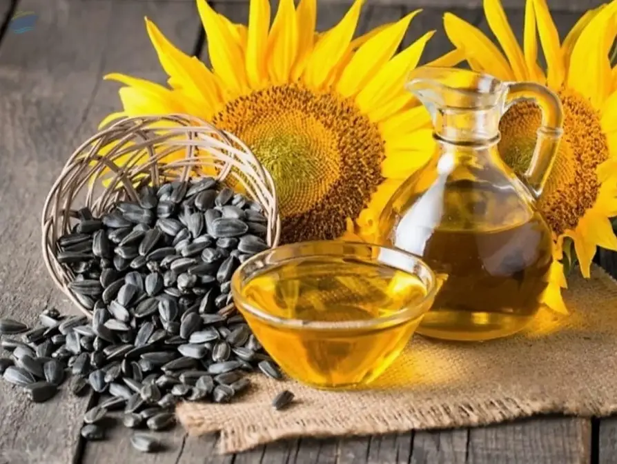 Sunflower Oil