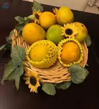 Kesar Mangoes - 1 Dozen box