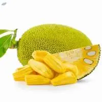 Jack Fruit