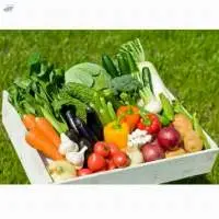 Fresh Indian Vegetables