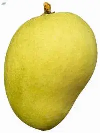 Alphonso Mangoes