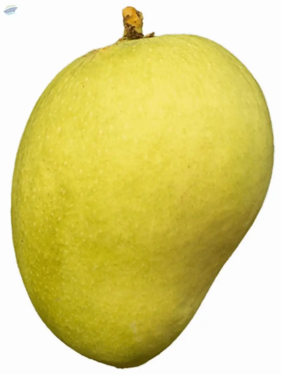 Alphonso Mangoes