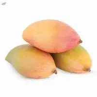 Tothapuri