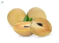 Sapota or Chikoo