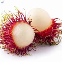 Rambutan