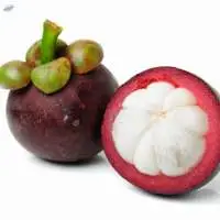 Mangosteen