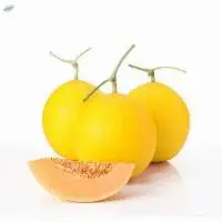 Chia Tai Melon