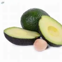 Avocado  Imported
