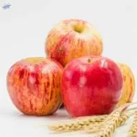 Apple  - Royal Gala