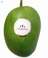 Kesar Mango