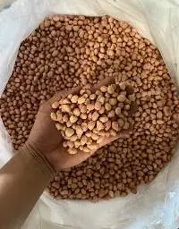 Peanuts Kernel