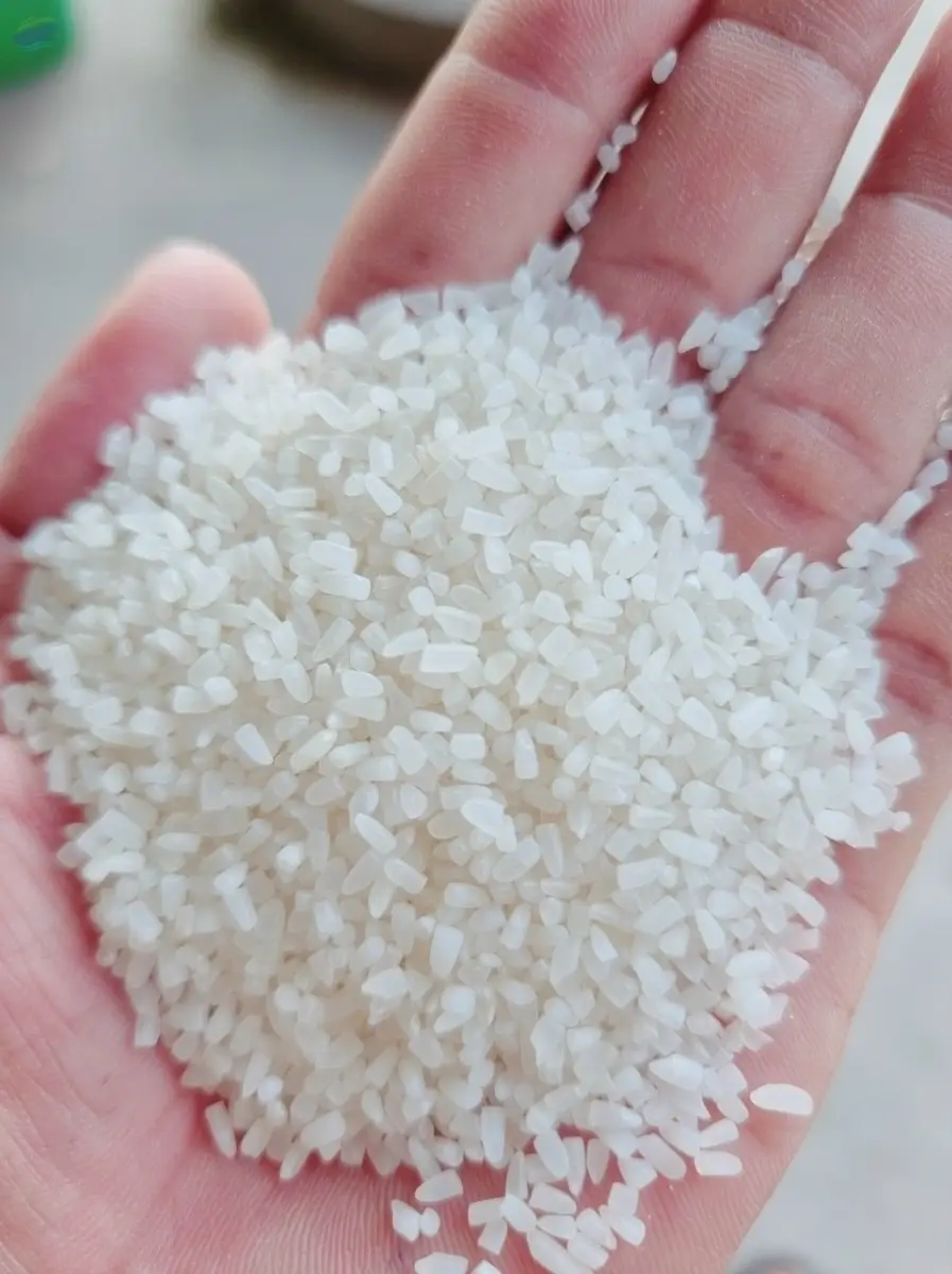 100 % Broken Rice