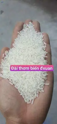 Long Grain Rice 5% Broken