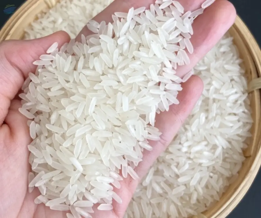 Jasmine Rice