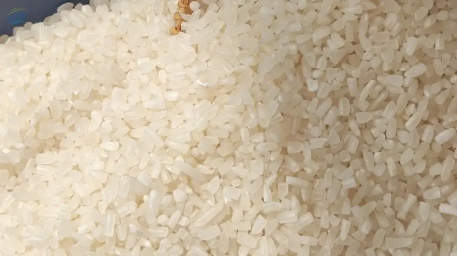 Broken Rice