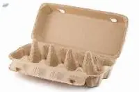Egg Tray