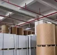 Fbb Paper Board