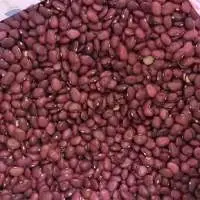 Red Kidney Bean