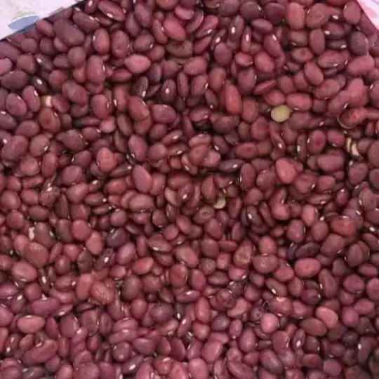 Red Kidney Bean